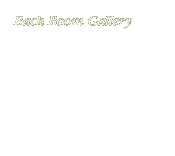 Back Room Gallery Show